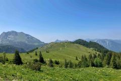 IMG_0699