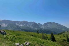 IMG_0701