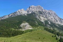 IMG_0706