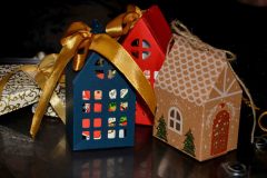 Prednovoletno-srecanje-clanov-DPJZS_17