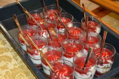 Prednovoletno-srecanje-clanov-DPJZS_18